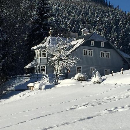 Penzion Modry Pavilon Dolní Malá Úpa Exteriér fotografie